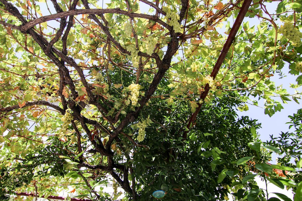 Gul Hanim House Boutique Hotel Nicosia Esterno foto