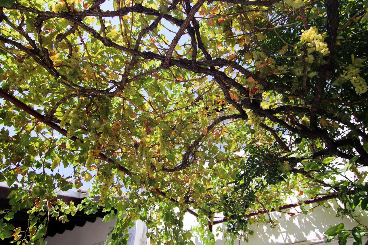 Gul Hanim House Boutique Hotel Nicosia Esterno foto